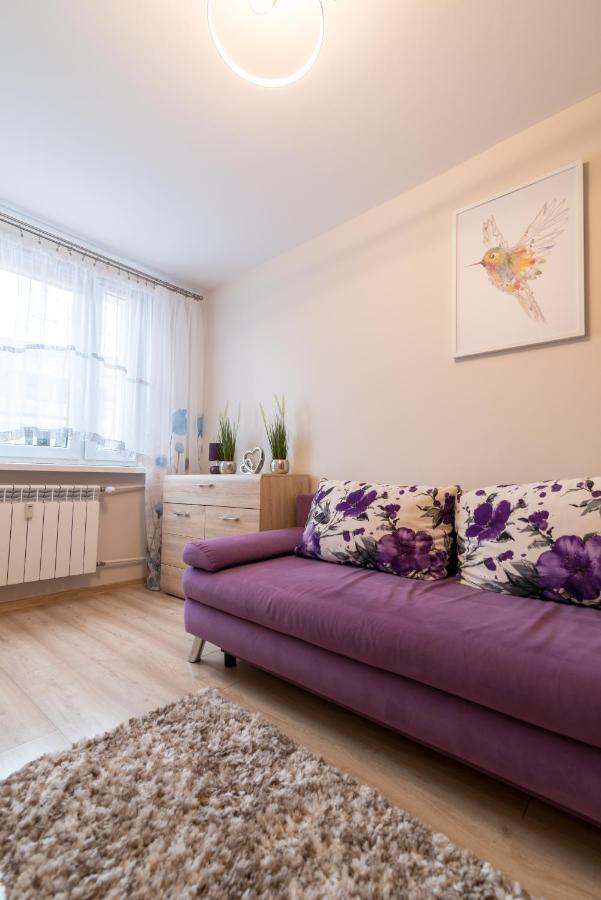 Cichy Zakatek Apartment Zakopane Bagian luar foto